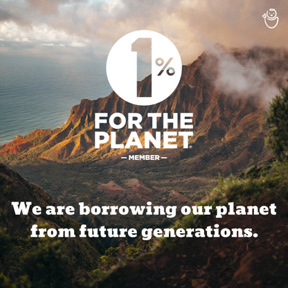 Kabocha, Pineapple & Breadfruit