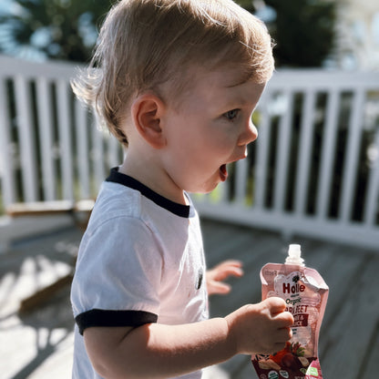 Holle Organic Zebra Beet - Fruit & Veggie Purée Pouches